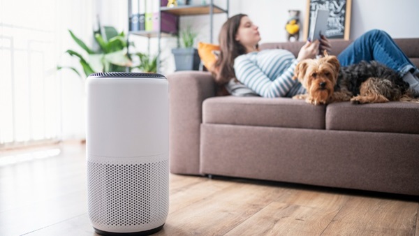 purificateur air salon